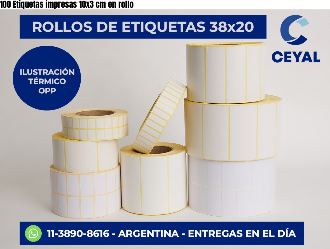 100 Etiquetas impresas 10×3 cm en rollo