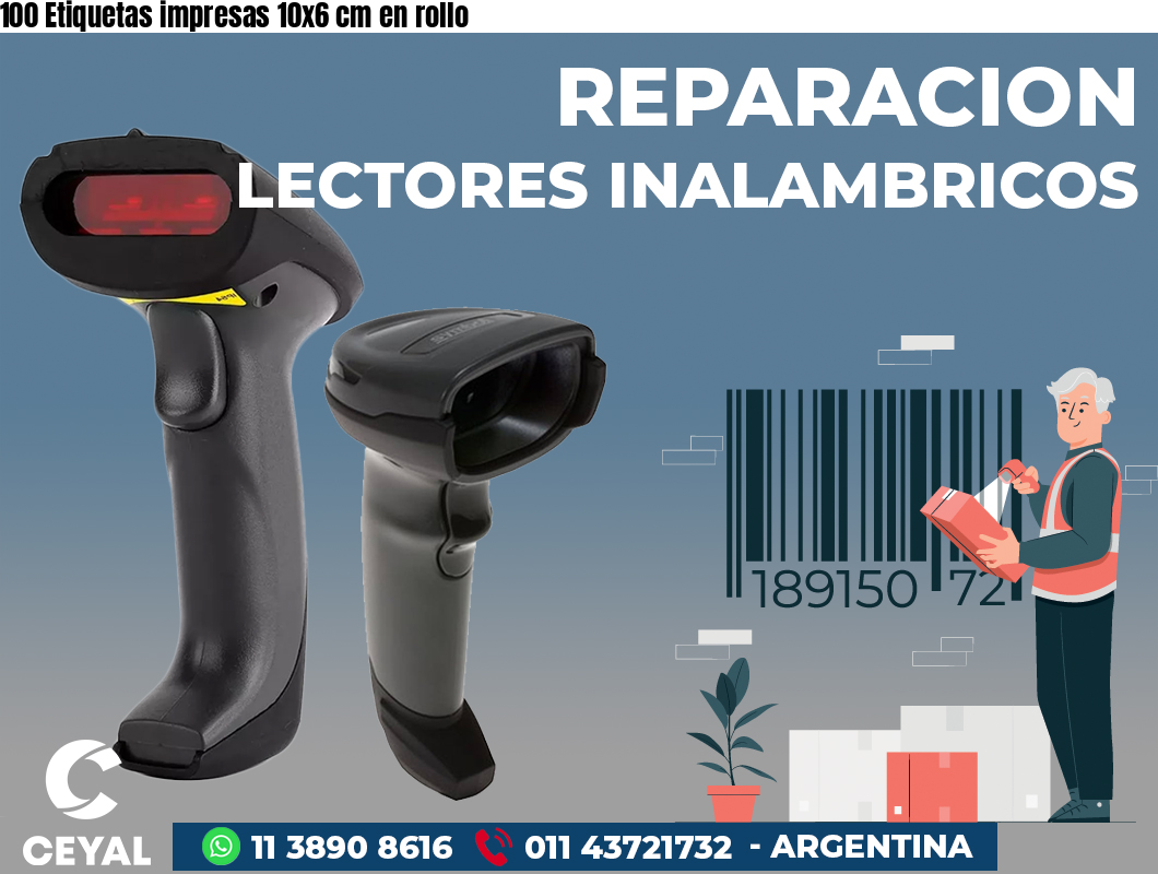 100 Etiquetas impresas 10x6 cm en rollo