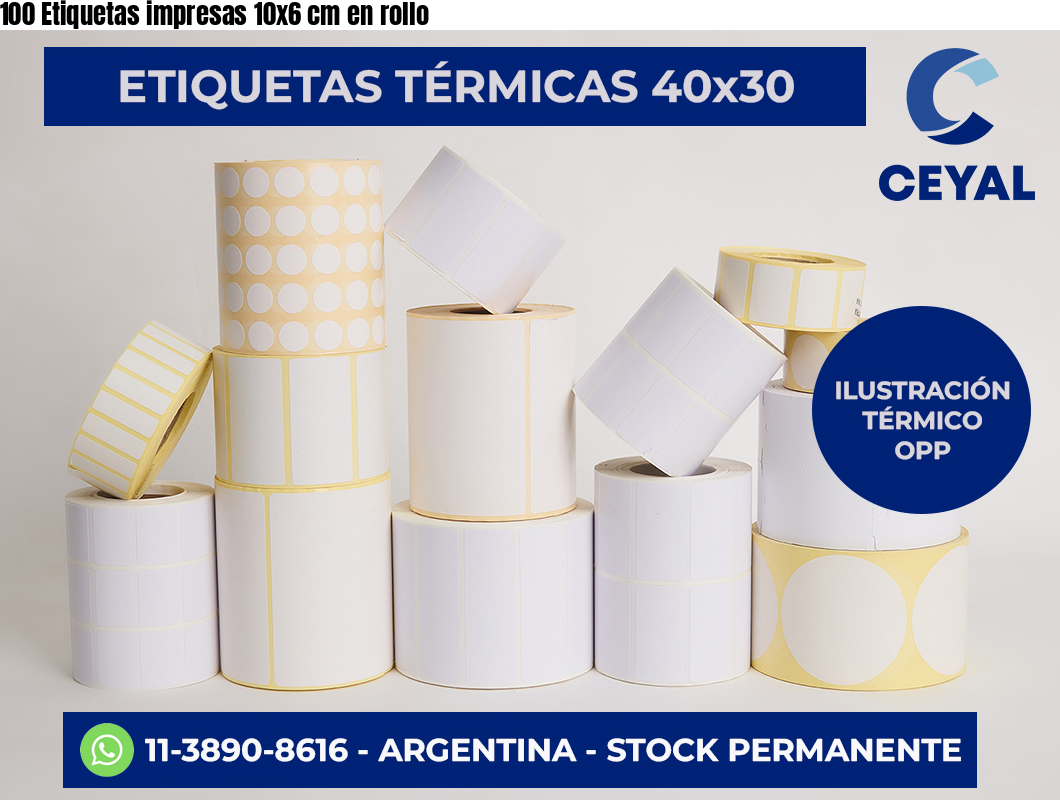100 Etiquetas impresas 10×6 cm en rollo