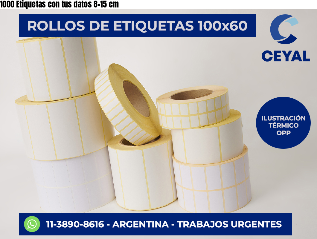 1000 Etiquetas con tus datos 8×15 cm