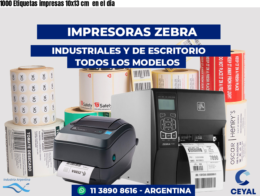 1000 Etiquetas impresas 10x13 cm en el dia