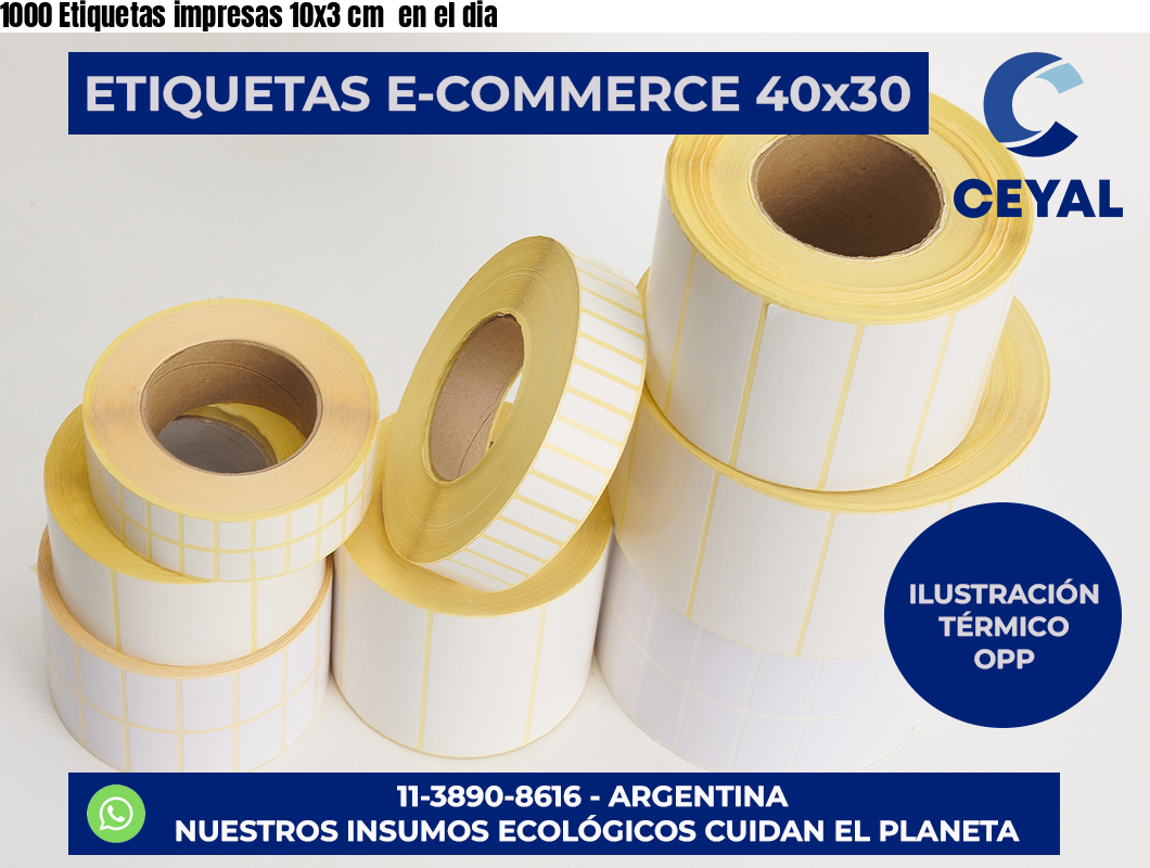 1000 Etiquetas impresas 10×3 cm  en el dia