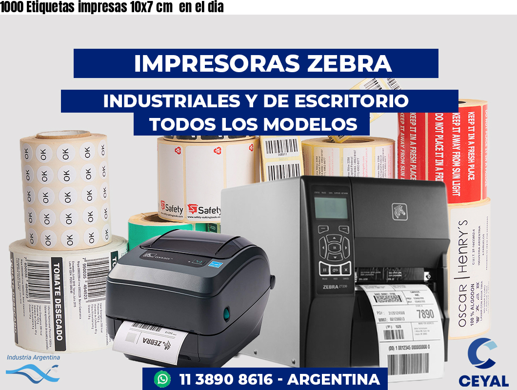 1000 Etiquetas impresas 10x7 cm  en el dia