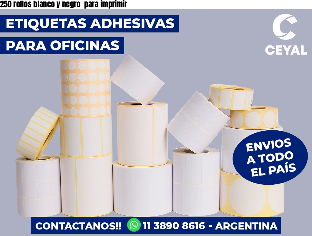 250 rollos blanco y negro para imprimir