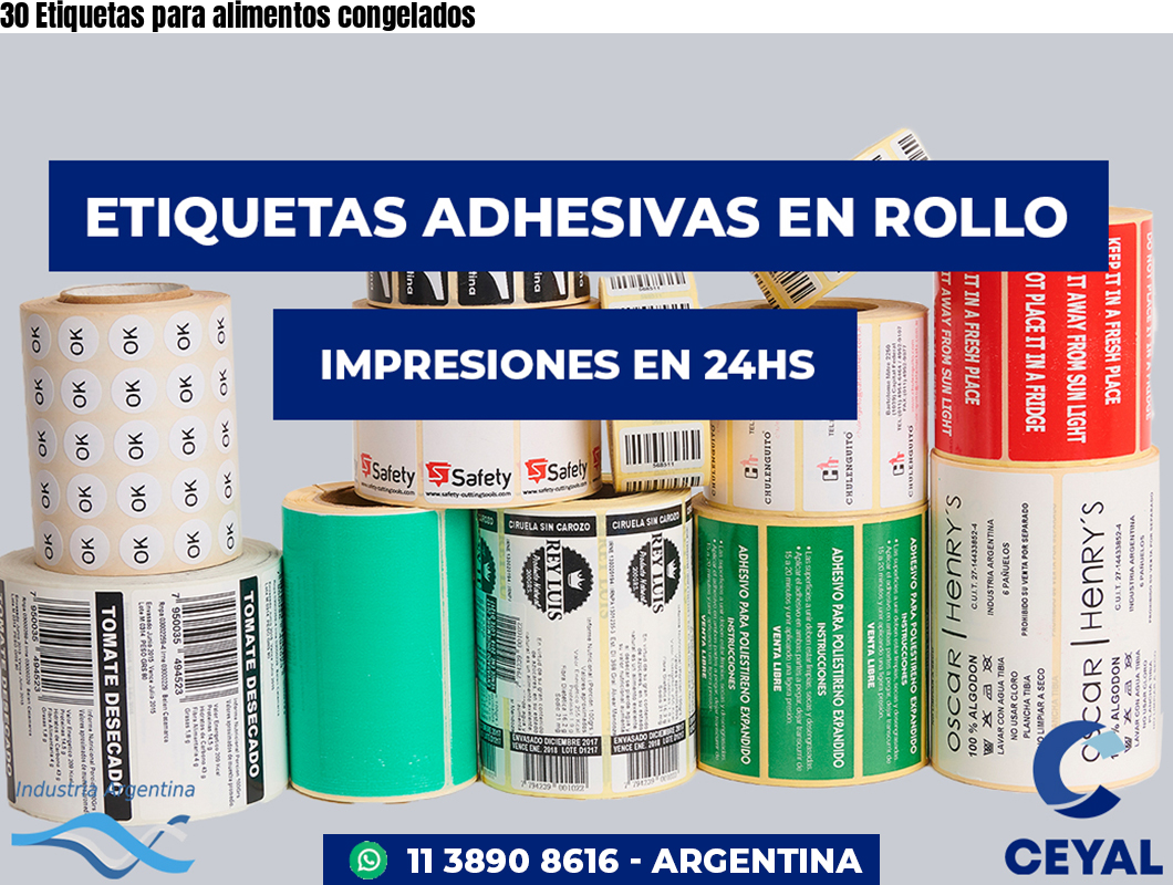 30 Etiquetas para alimentos congelados