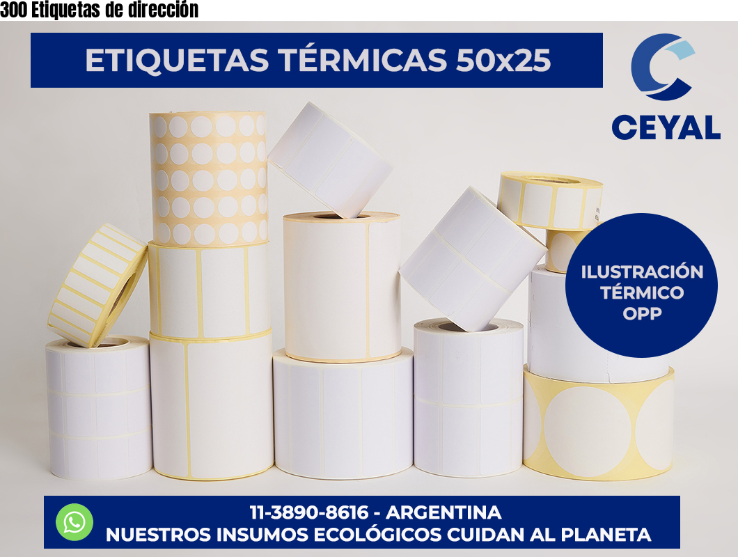 300 Etiquetas de dirección