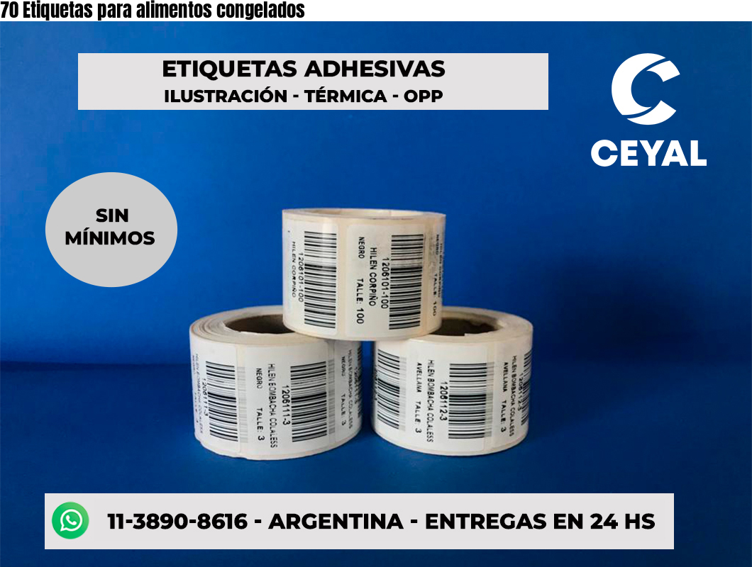 70 Etiquetas para alimentos congelados