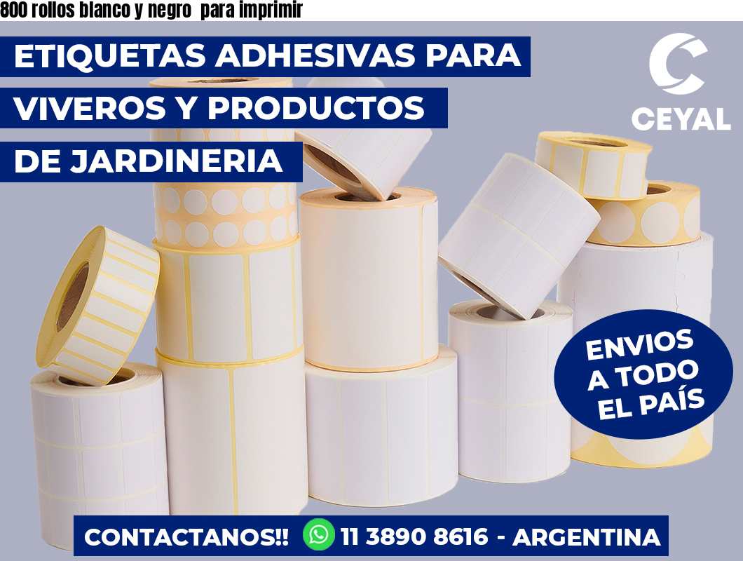 800 rollos blanco y negro para imprimir