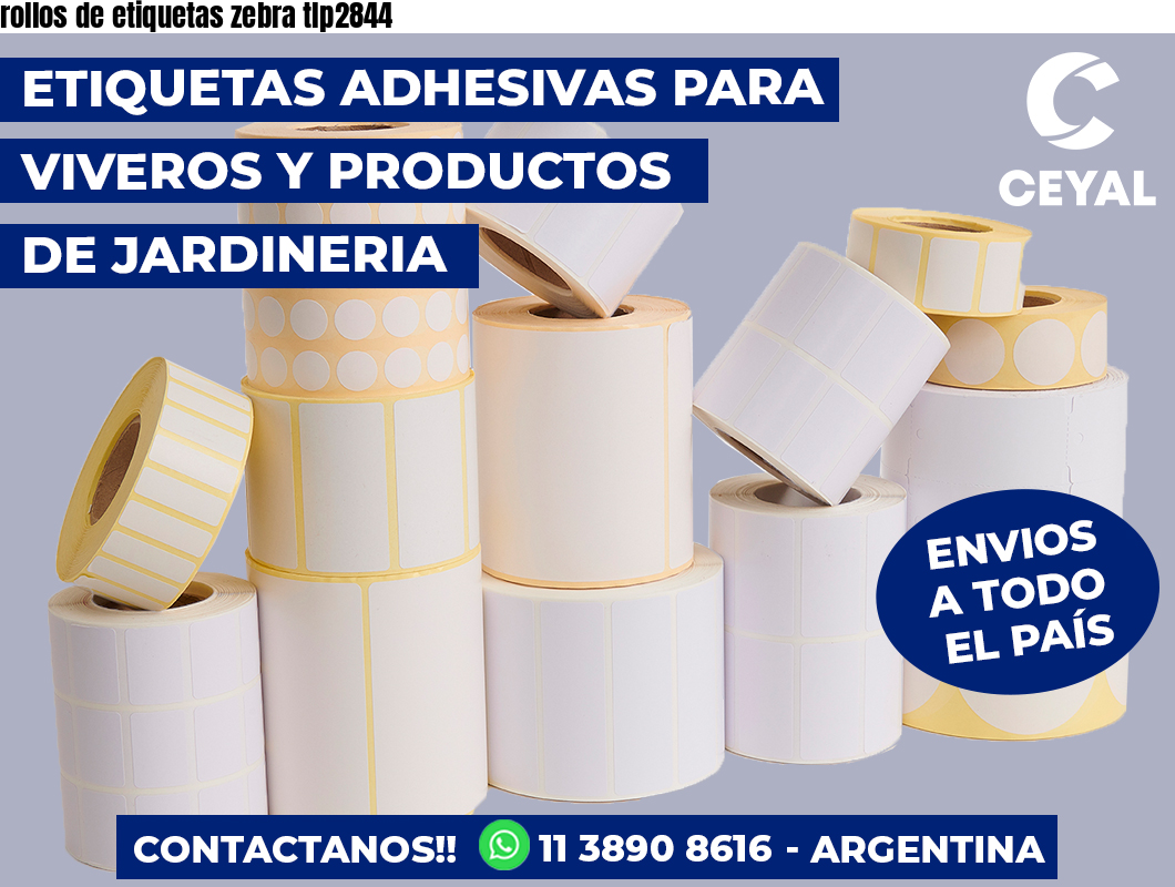 rollos de etiquetas zebra tlp2844