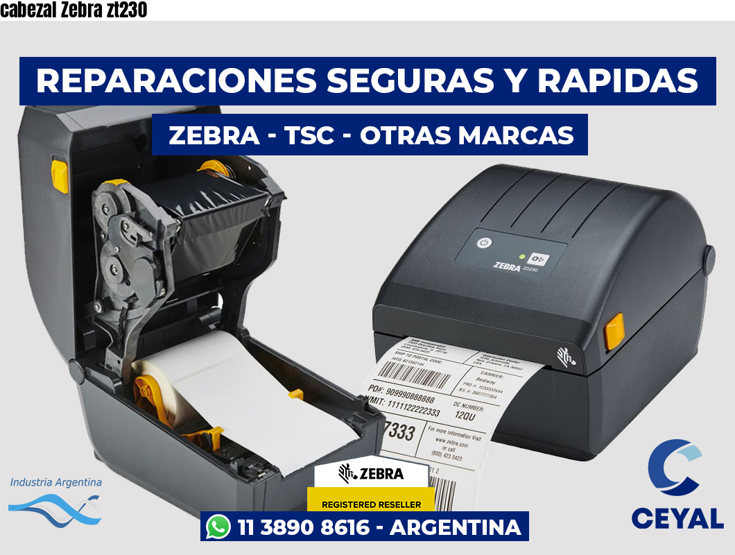 cabezal Zebra zt230