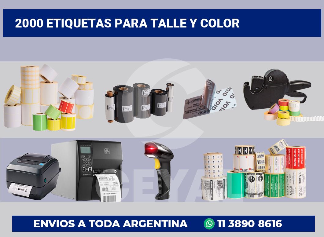 2000 Etiquetas para talle y color
