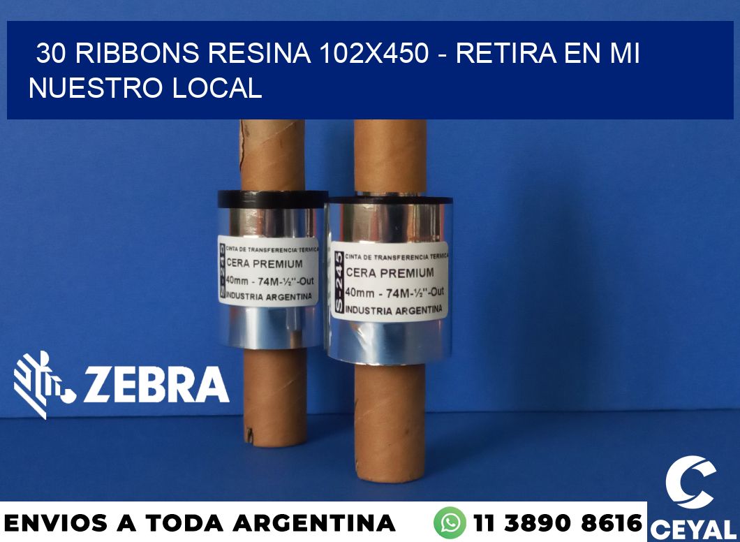 30 Ribbons resina 102x450 - retira en mi nuestro local