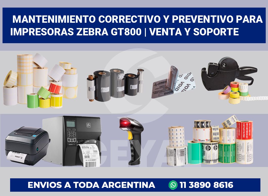 Mantenimiento correctivo y preventivo para impresoras Zebra GT800 | Venta y soporte