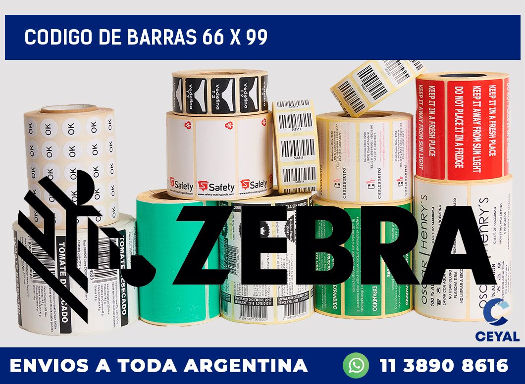 codigo de barras 66 x 99