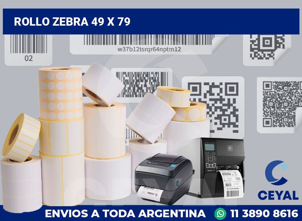 rollo zebra 49 x 79