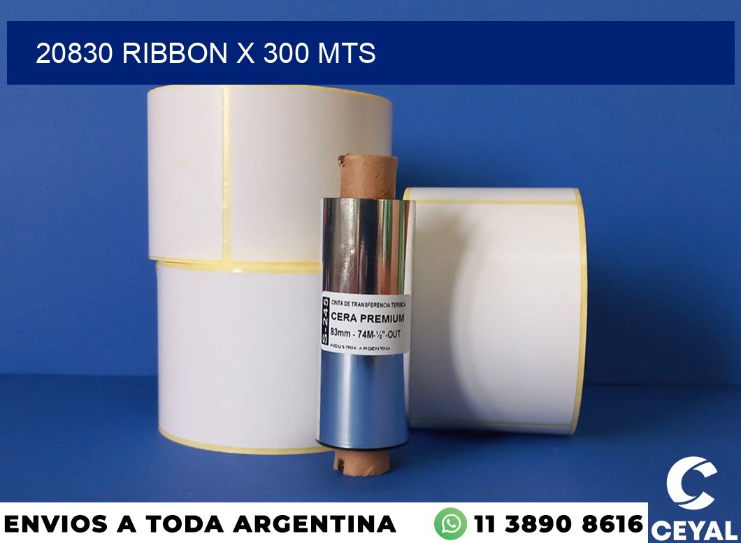 20830 ribbon x 300 mts
