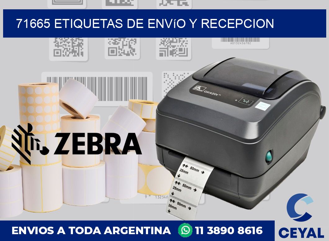 71665 Etiquetas de envío y recepcion