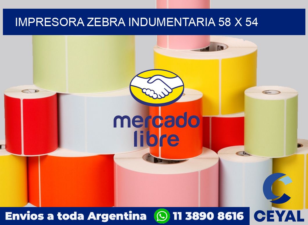 Impresora Zebra indumentaria 58 x 54