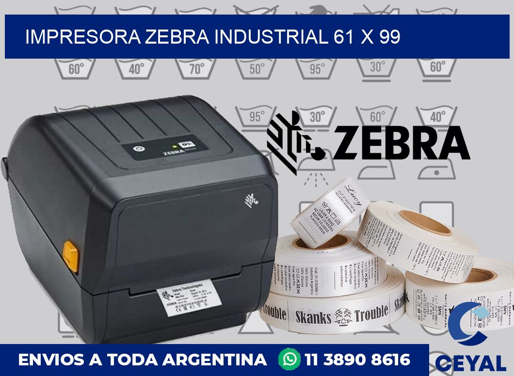 Impresora Zebra industrial 61 x 99