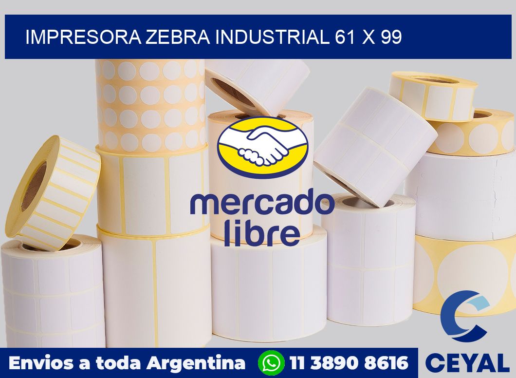Impresora Zebra industrial 61 x 99