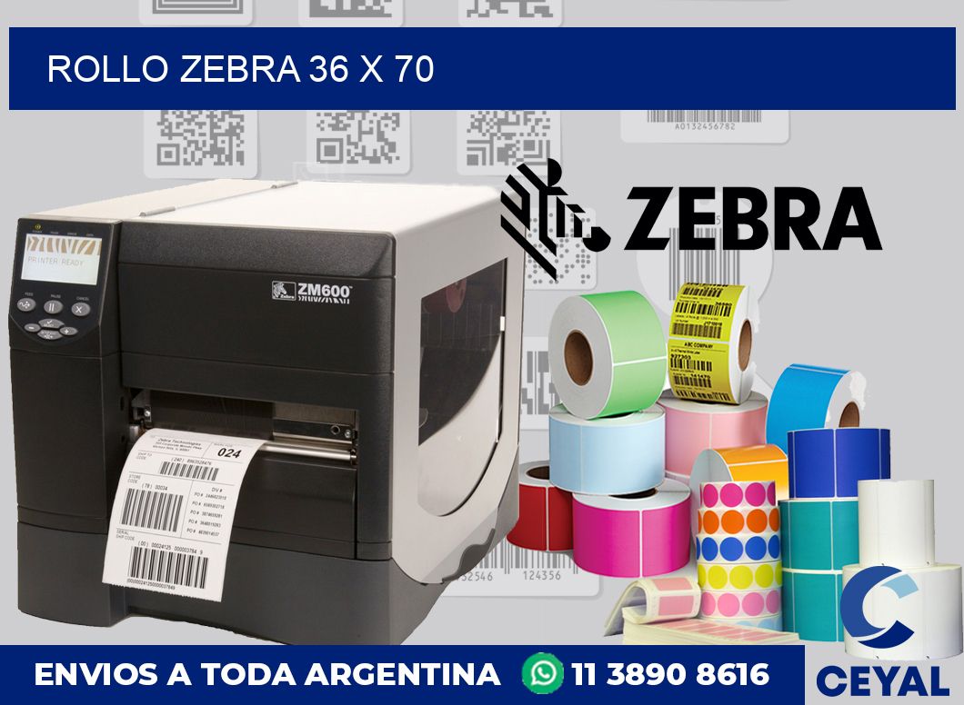rollo zebra 36 x 70