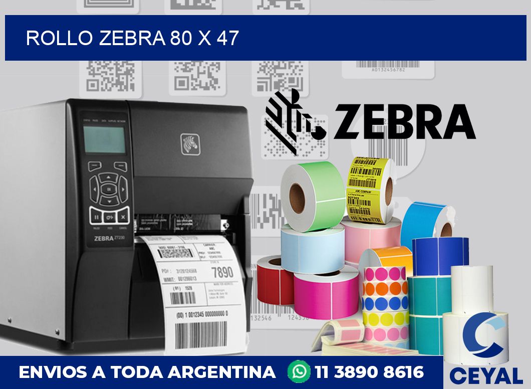 rollo zebra 80 x 47