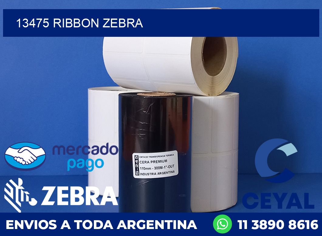 13475 RIBBON ZEBRA