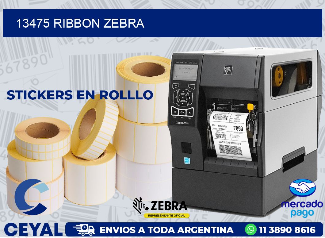 13475 RIBBON ZEBRA