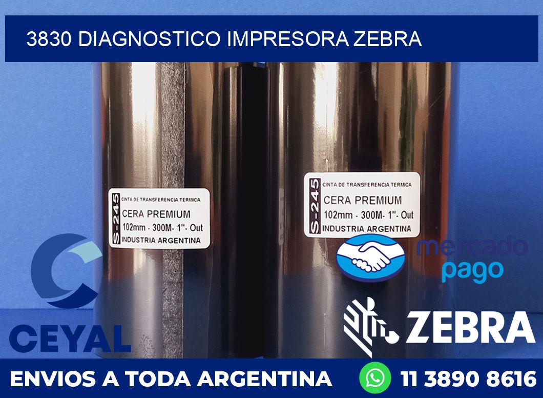 3830 DIAGNOSTICO IMPRESORA ZEBRA