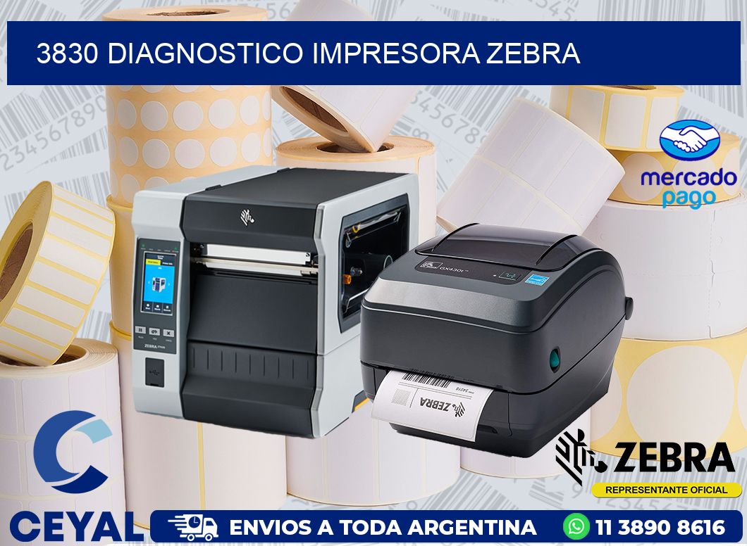 3830 DIAGNOSTICO IMPRESORA ZEBRA