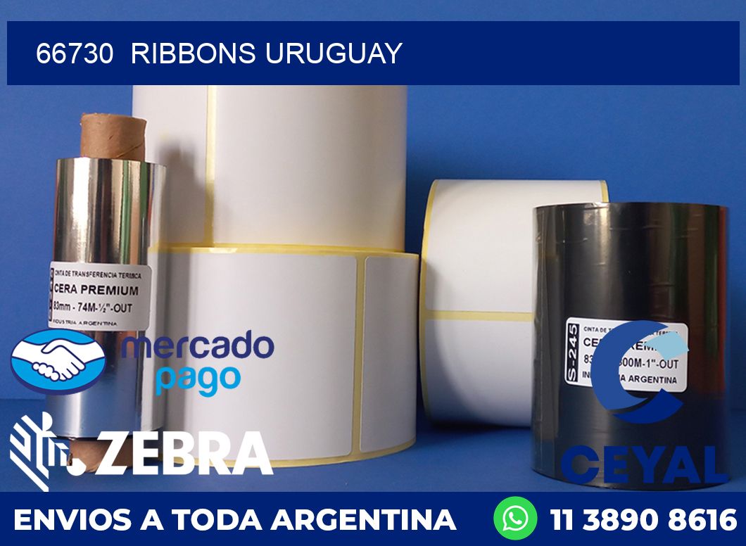 66730 RIBBONS URUGUAY