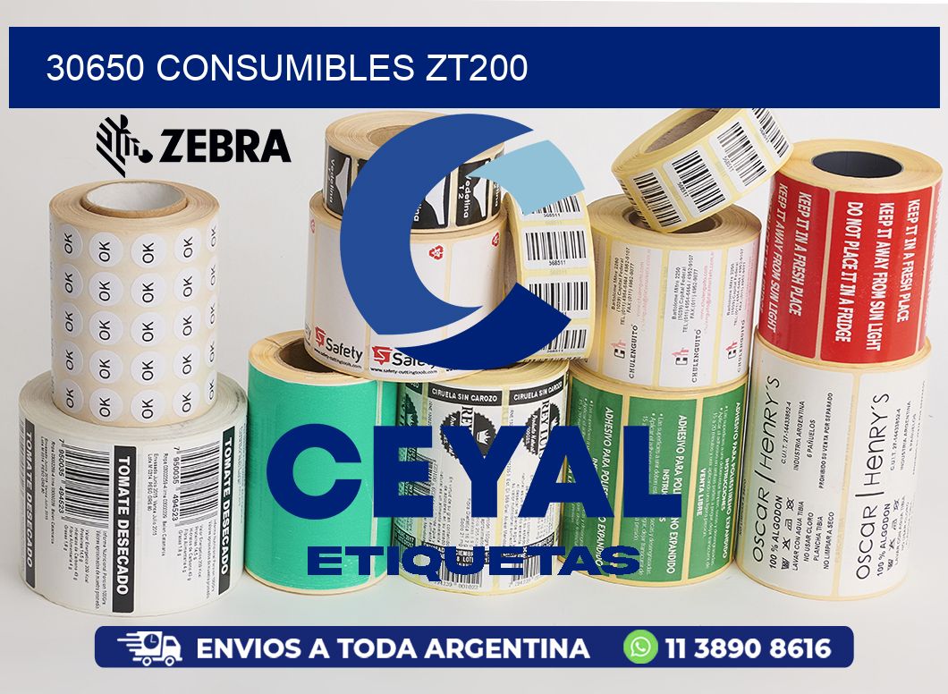 30650 CONSUMIBLES ZT200