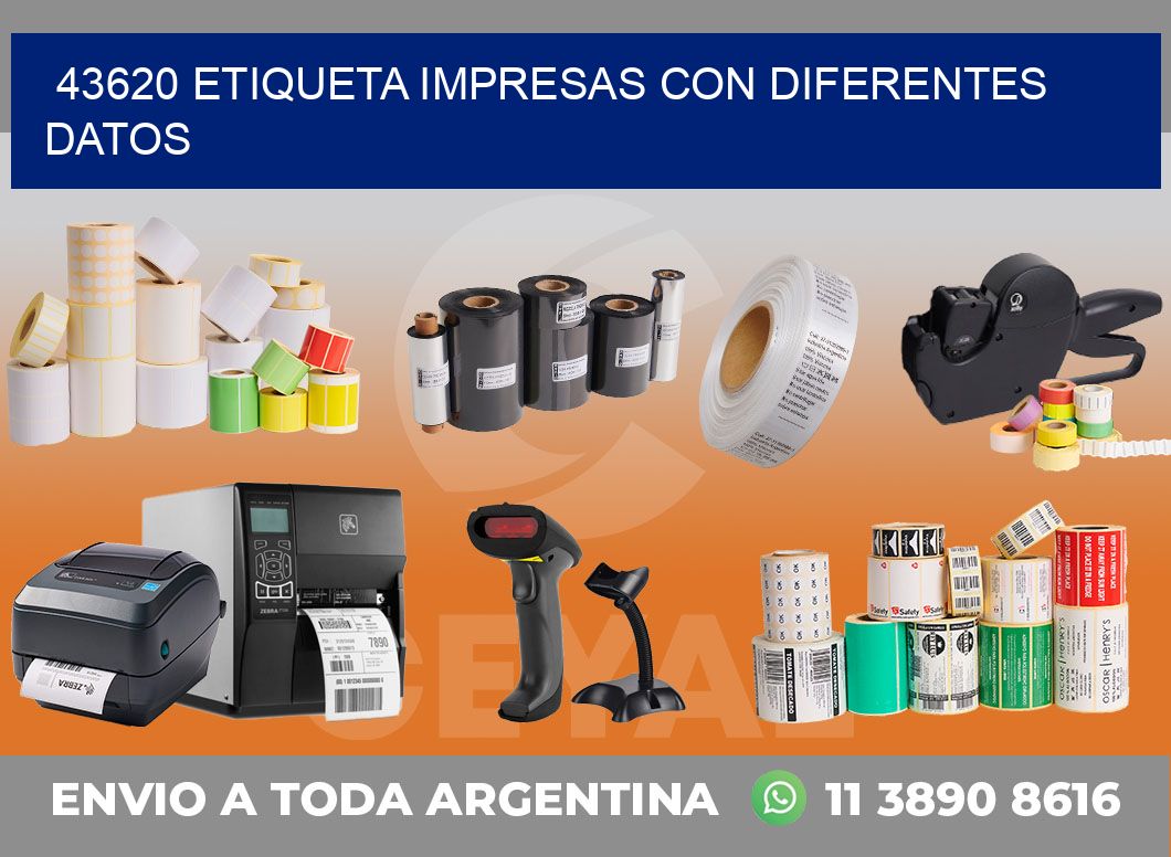 43620 ETIQUETA IMPRESAS CON DIFERENTES DATOS