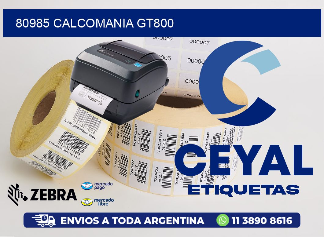 80985 CALCOMANIA GT800