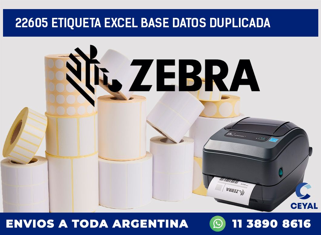 22605 etiqueta excel base datos duplicada