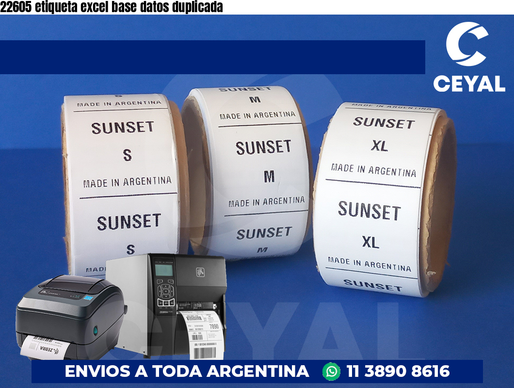 22605 etiqueta excel base datos duplicada