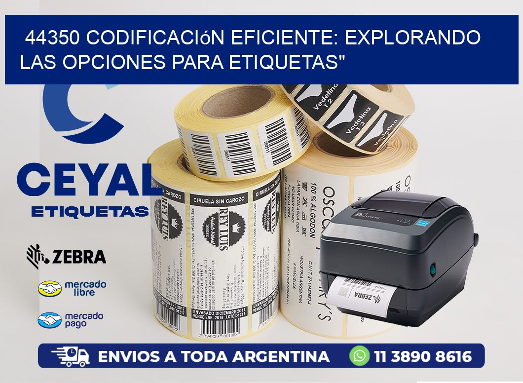 44350 Codificación Eficiente: Explorando las Opciones para Etiquetas