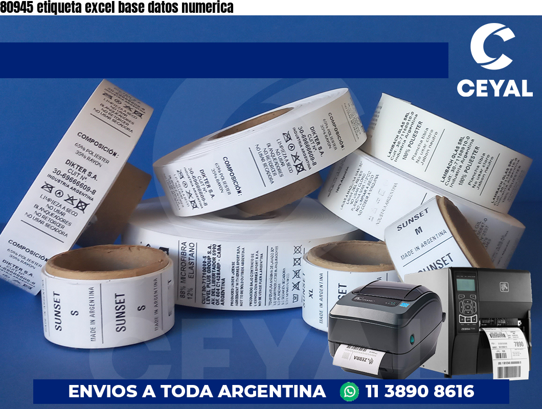 80945 etiqueta excel base datos numerica