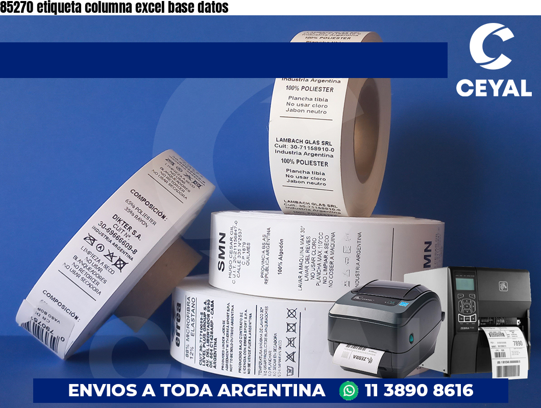 85270 etiqueta columna excel base datos