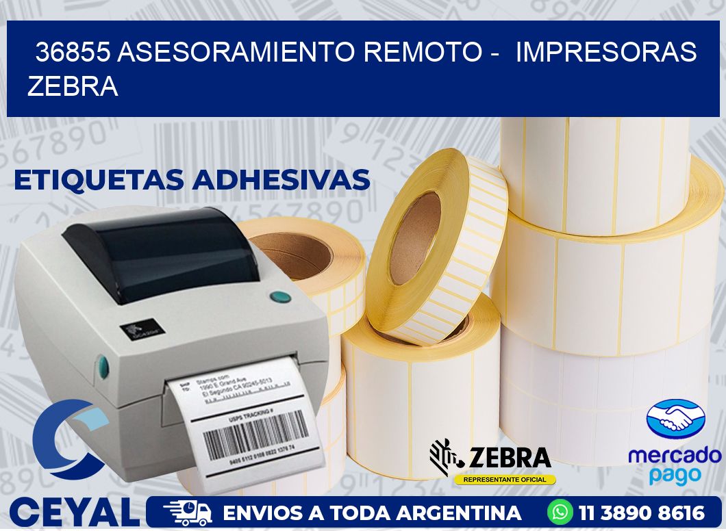 36855 ASESORAMIENTO REMOTO -  IMPRESORAS ZEBRA