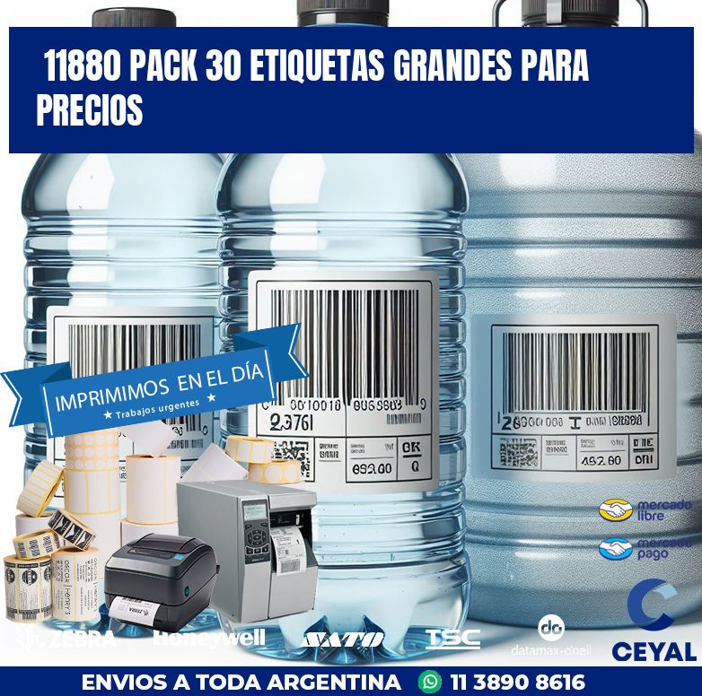 11880 PACK 30 ETIQUETAS GRANDES PARA PRECIOS