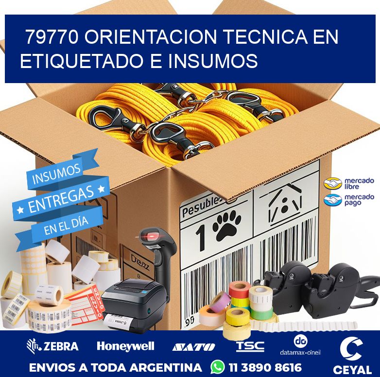 79770 ORIENTACION TECNICA EN ETIQUETADO E INSUMOS