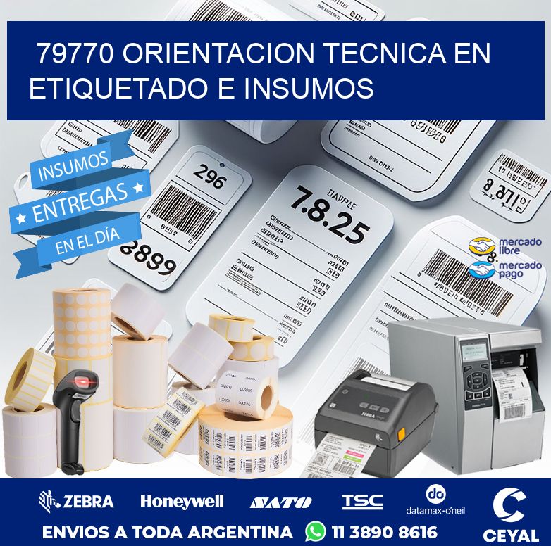 79770 ORIENTACION TECNICA EN ETIQUETADO E INSUMOS