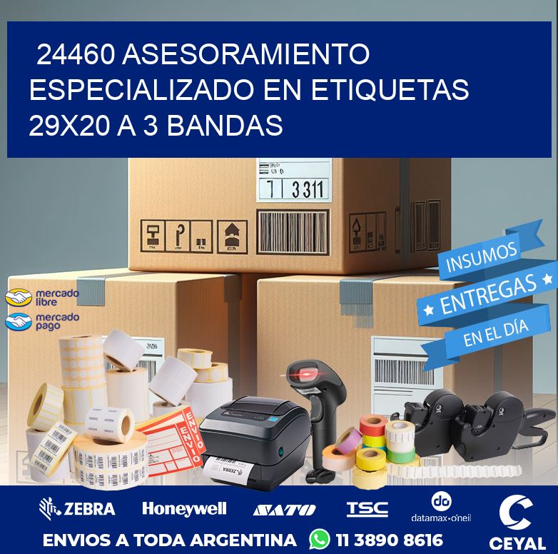 24460 ASESORAMIENTO ESPECIALIZADO EN ETIQUETAS 29X20 A 3 BANDAS