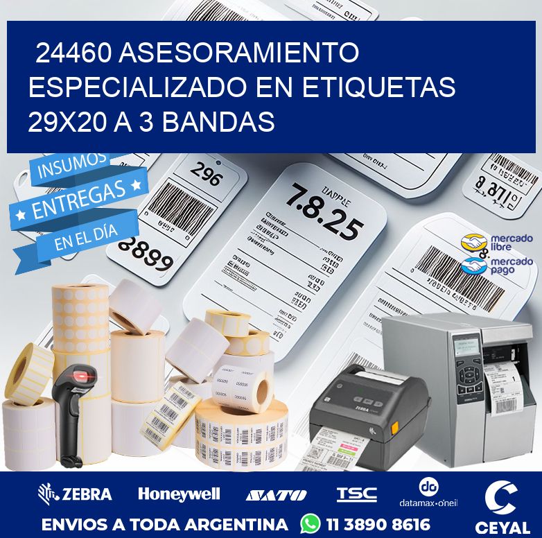 24460 ASESORAMIENTO ESPECIALIZADO EN ETIQUETAS 29X20 A 3 BANDAS