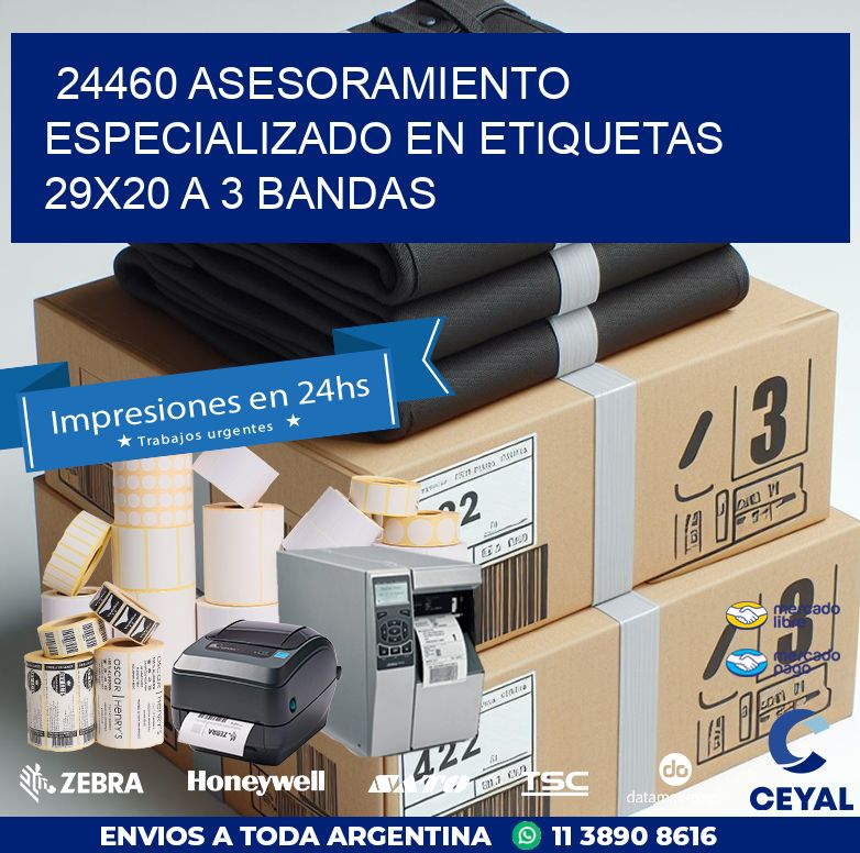 24460 ASESORAMIENTO ESPECIALIZADO EN ETIQUETAS 29X20 A 3 BANDAS