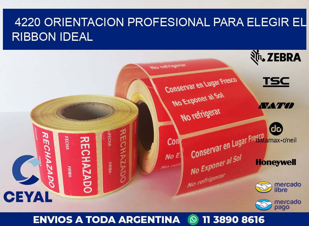 4220 ORIENTACION PROFESIONAL PARA ELEGIR EL RIBBON IDEAL