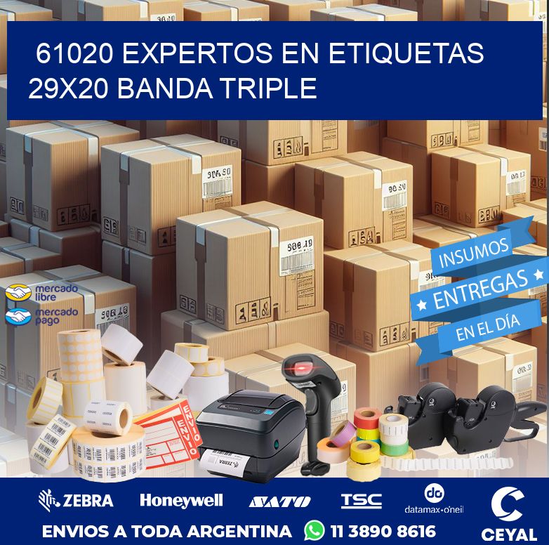 61020 EXPERTOS EN ETIQUETAS 29X20 BANDA TRIPLE