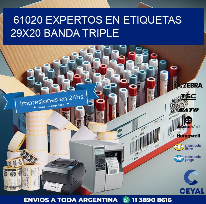 61020 EXPERTOS EN ETIQUETAS 29X20 BANDA TRIPLE