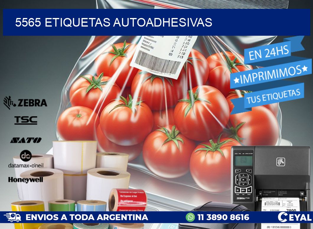 5565 ETIQUETAS AUTOADHESIVAS